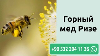Горный мед Ризе